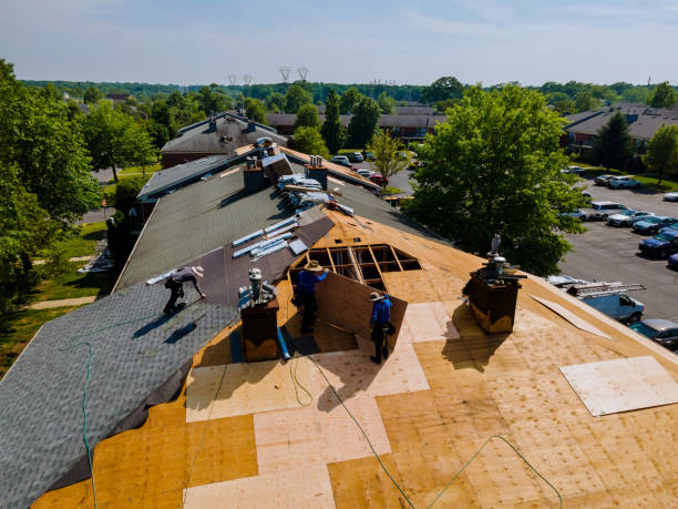 Quick and Trustworthy Emergency Roof Repair Services in Douglas, AL