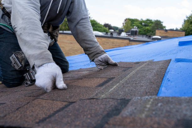 Best Storm Damage Roof Repair  in Douglas, AL