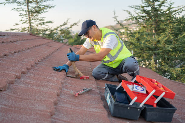 Best Roof Replacement Cost  in Douglas, AL