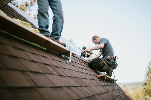 Residential Roof Replacement in Douglas, AL